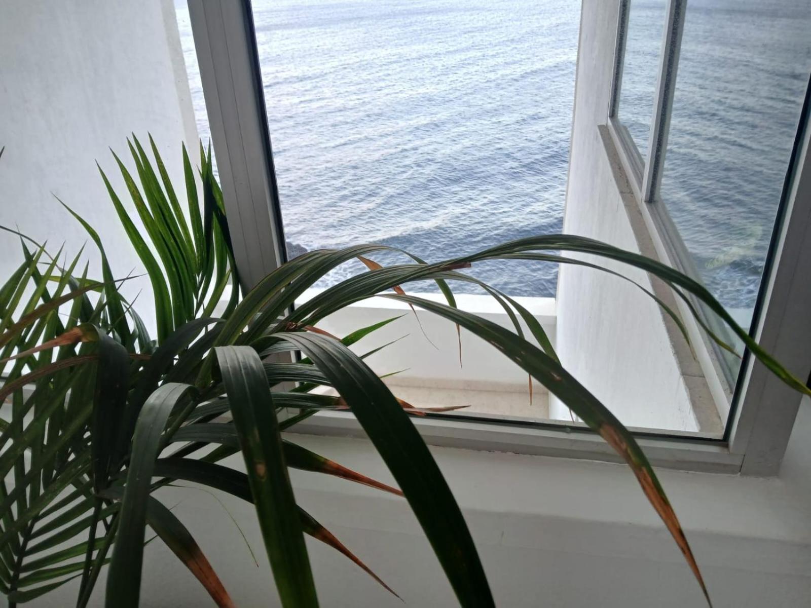 Apartamentos Playa Chica / Playa Las Gaviotas サンタクルスデテネリフェ エクステリア 写真